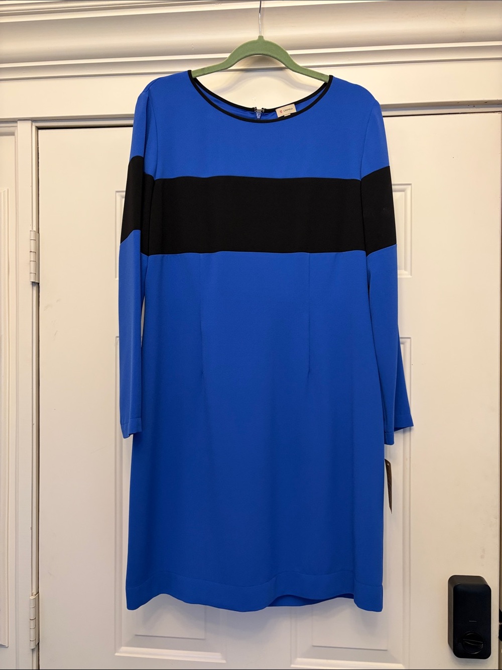 Daniel Cremieux Royal Blue Dress with Black Horizontal Band